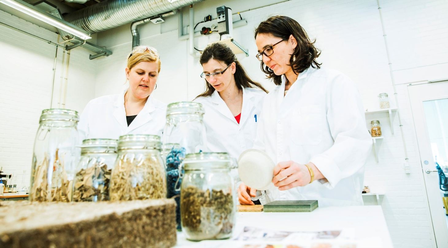 Medarbejdere kigger på biomaterialer - acha mel nmhl biomat